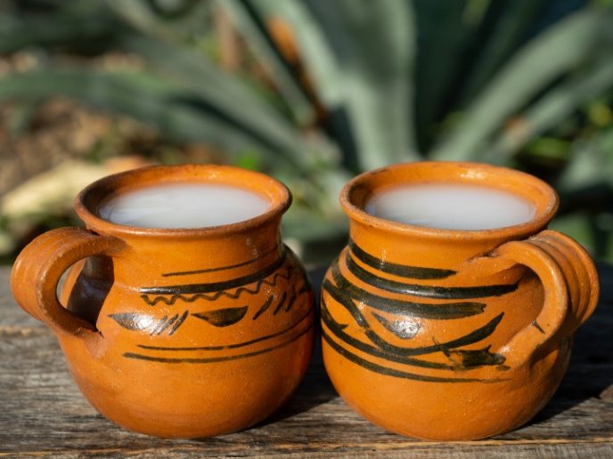 5 Bebidas mexicanas de orgullo nacional