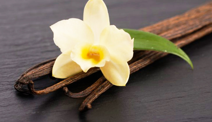 La vainilla, una orquídea de México para el mundo