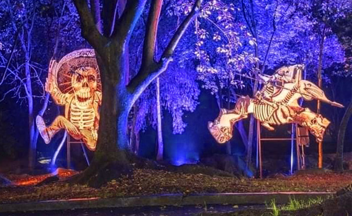 Paseo nocturno de Día de Muertos en Chapultepec