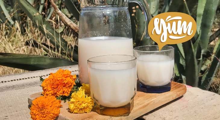 Disfruta de un buen pulque en la Feria de las Pulquerías Tradicionales