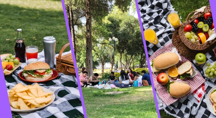 5 lugares chulos para armar el picnic en CDMX